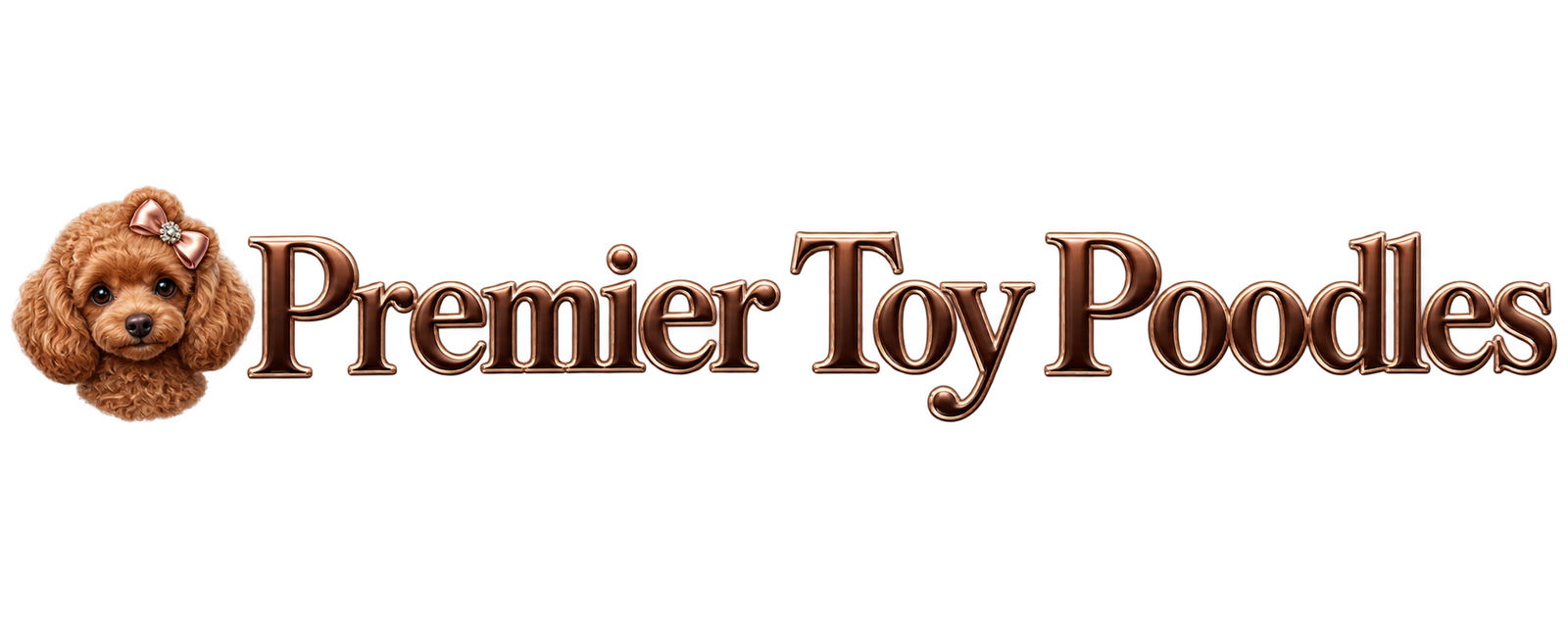 Toy Poodles for sale